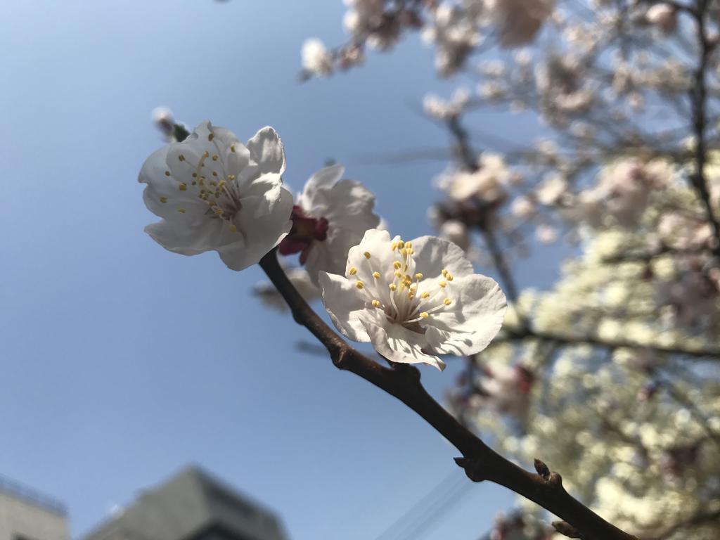 Naru Guesthouse Seoul Bagian luar foto