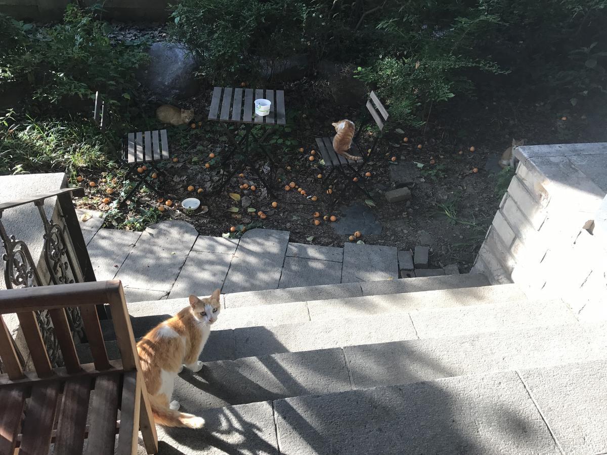 Naru Guesthouse Seoul Bagian luar foto