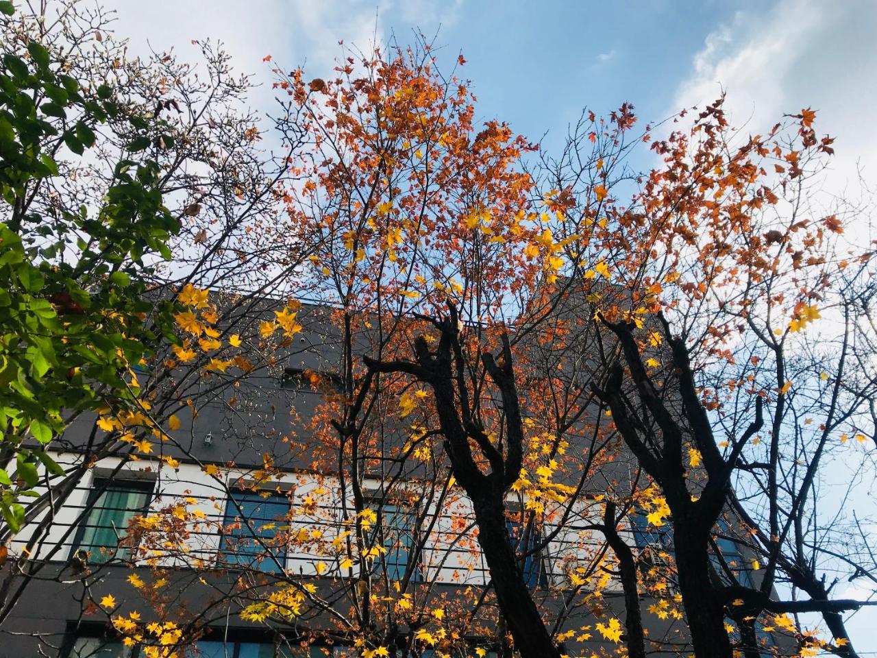 Naru Guesthouse Seoul Bagian luar foto