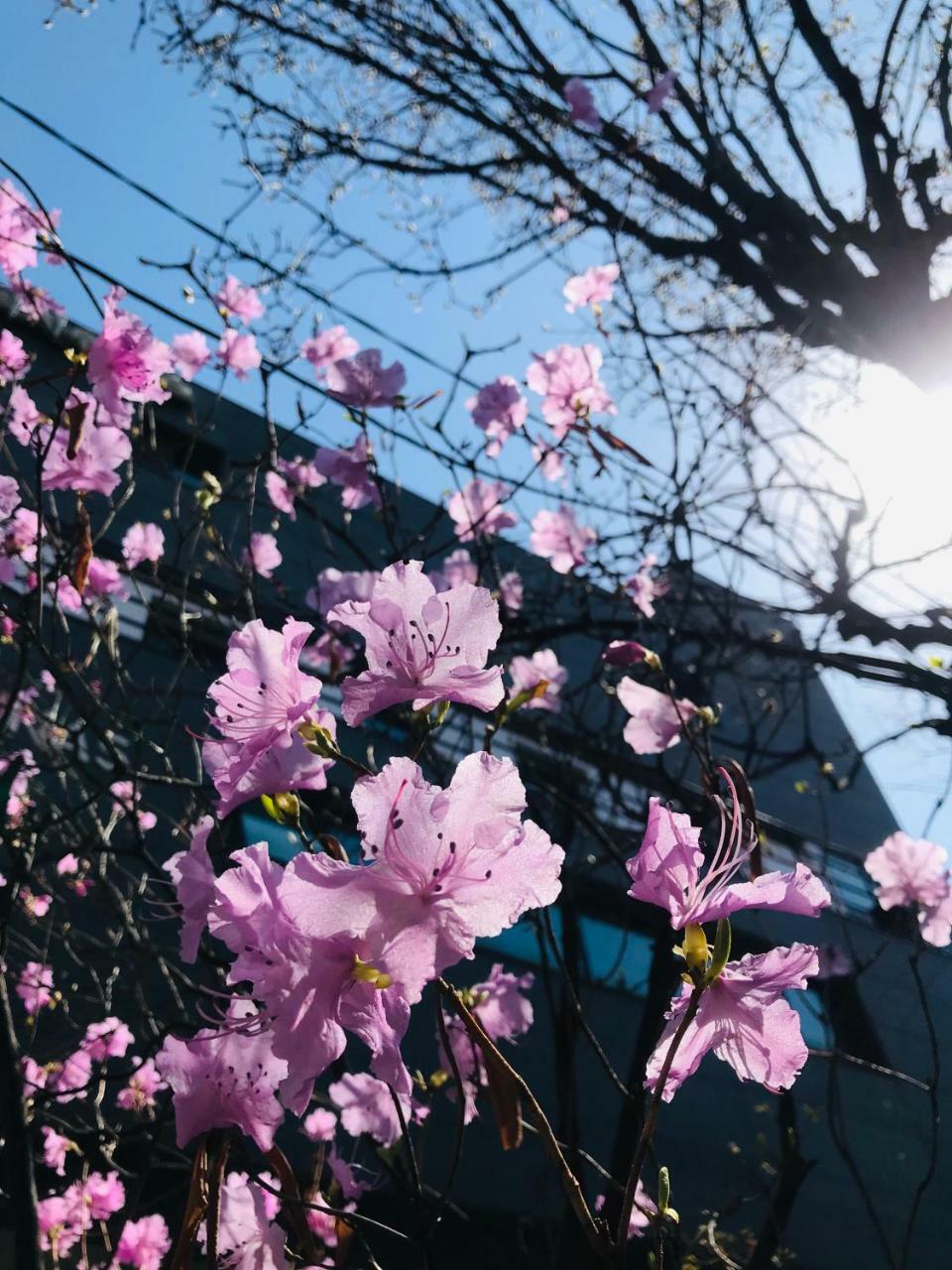 Naru Guesthouse Seoul Bagian luar foto