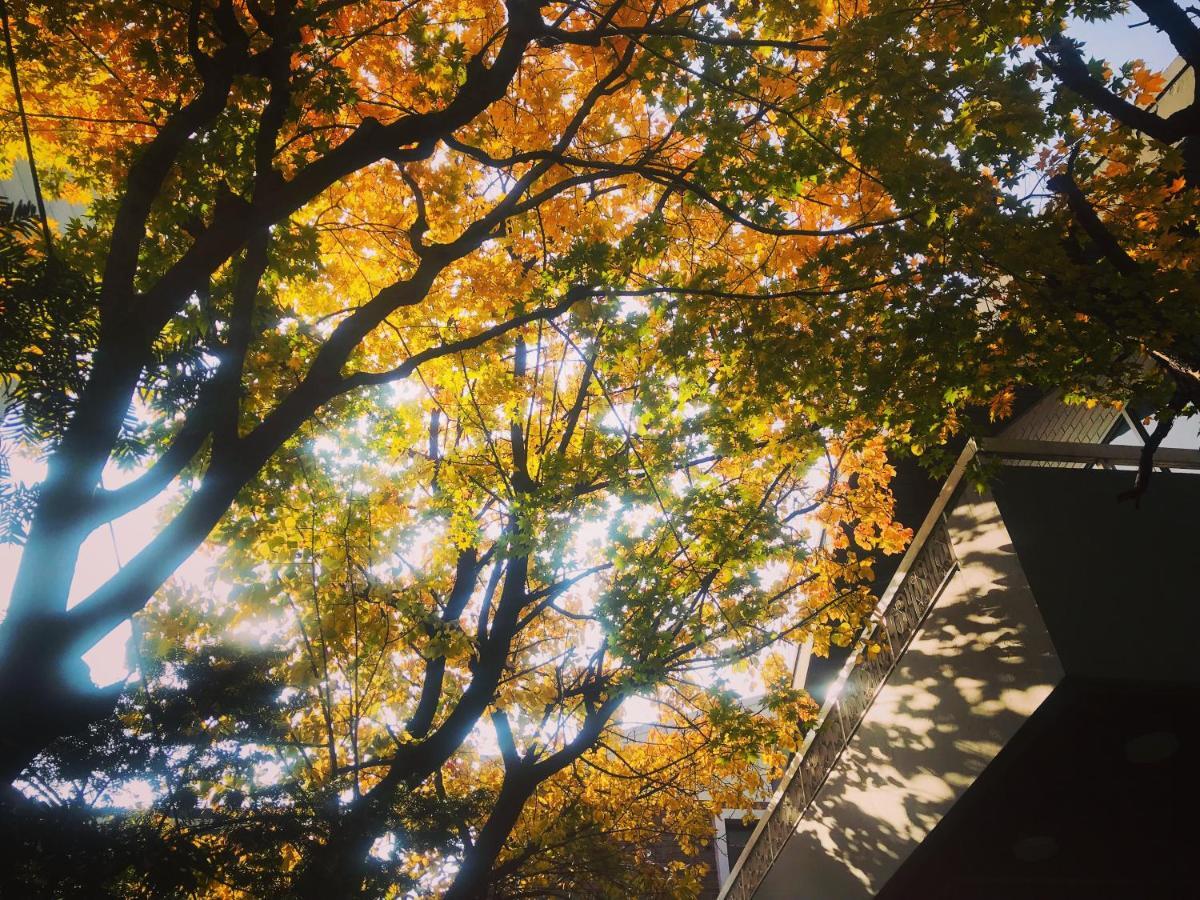 Naru Guesthouse Seoul Bagian luar foto